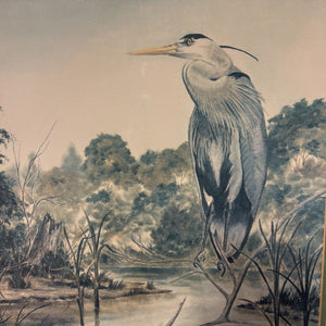 Gold Framed Blue Heron Wildlife Bayou