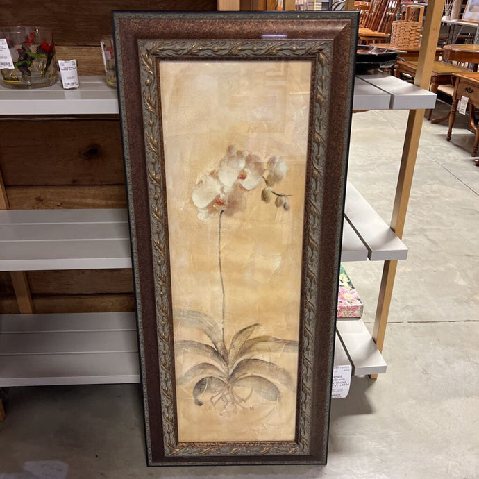 Framed Gold/Brown White Orchid Print