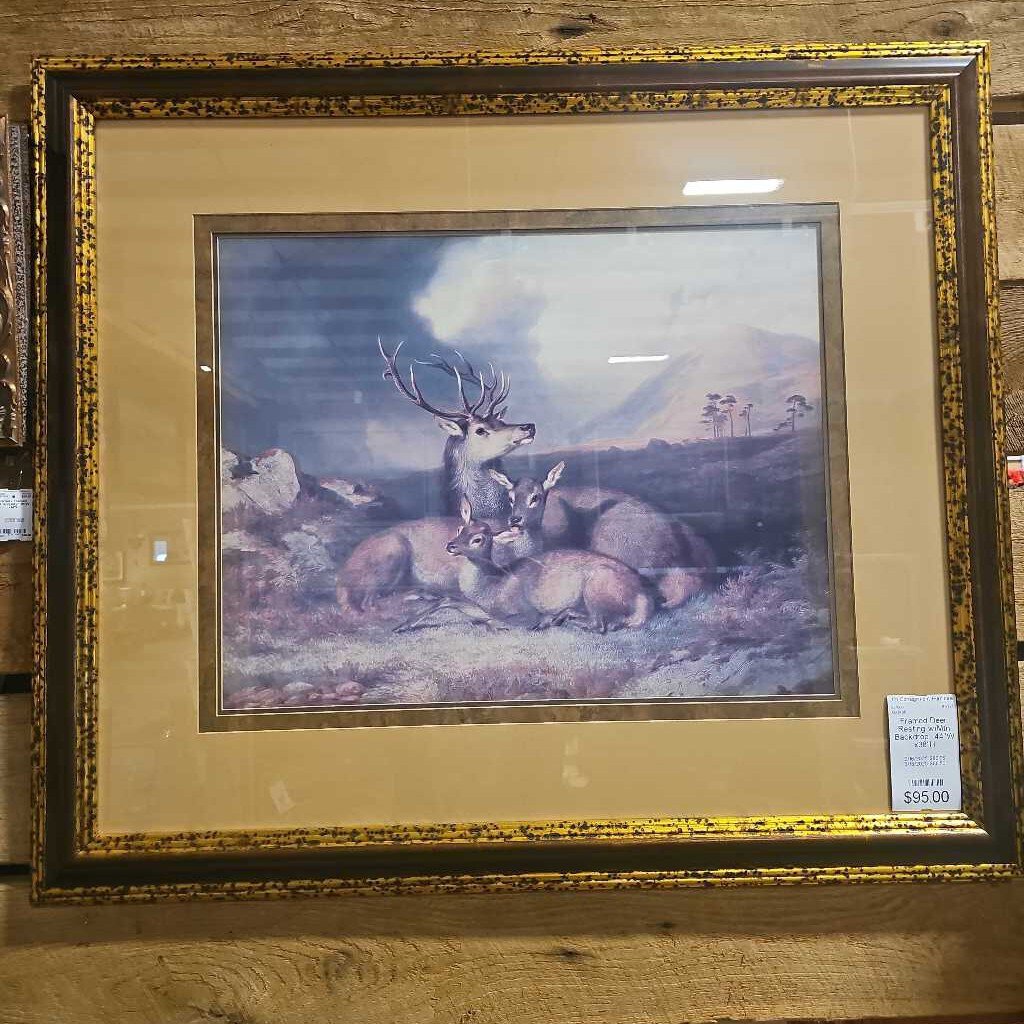 Framed Deer Resting w/Mtn Backdrop