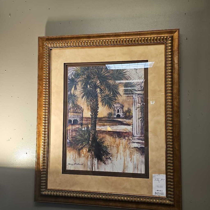 Framed Tropical Picture