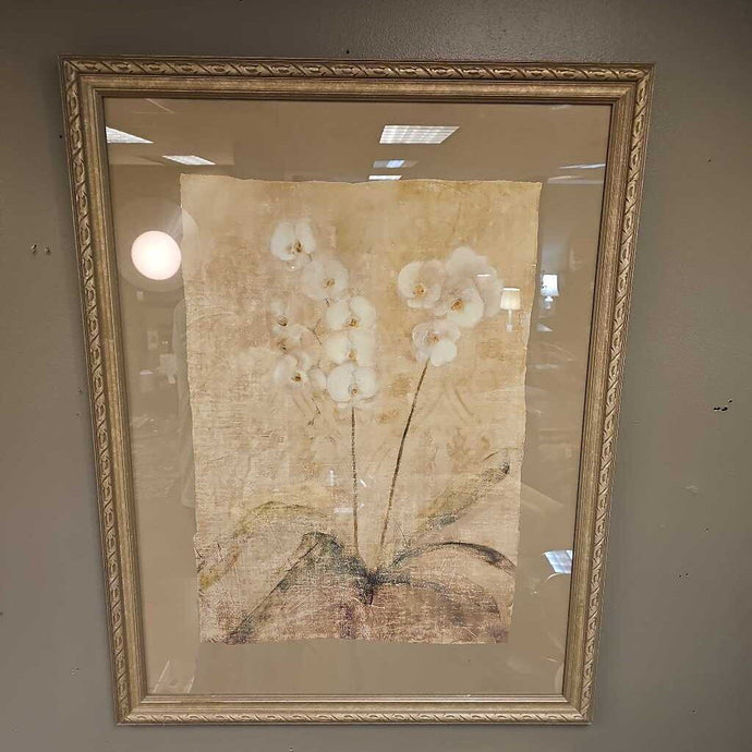 Framed Orchid Print