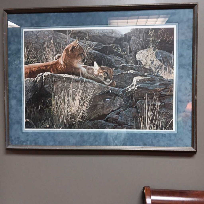 Big Cat Country Art
