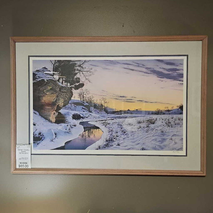 Winter Country Scene