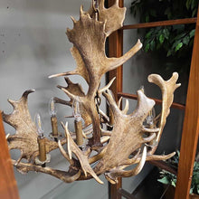 Load image into Gallery viewer, Reproduction Elk Antler Chandelier