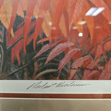 Load image into Gallery viewer, Robert Bateman "Cardinal and Sumac" Signed &amp; Numbered