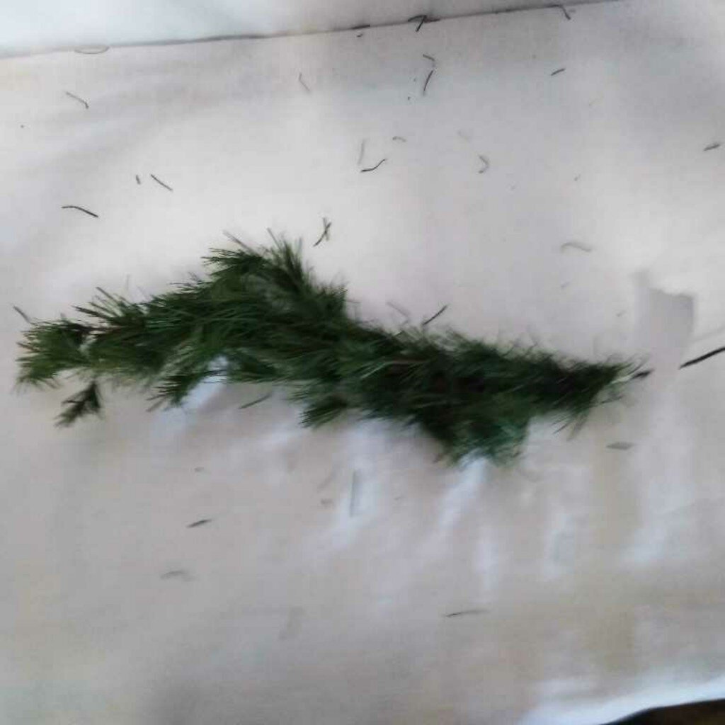 Christmas Tree Limb Decor