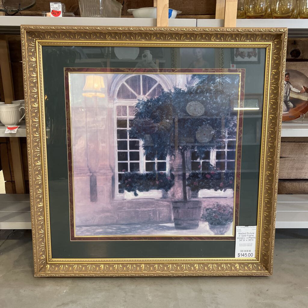 Matted Picture in Gold Frame, Window w/Plants